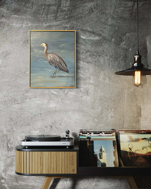 NZ’s Elegant White Faced Heron, 16" x 20"