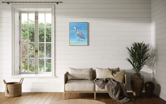 NZ’s Elegant White Faced Heron, 16" x 20"