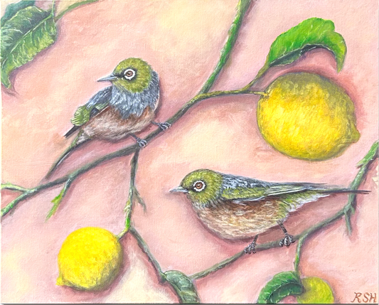 Waxeyes in the Lemon Tree II, 16" x 20"