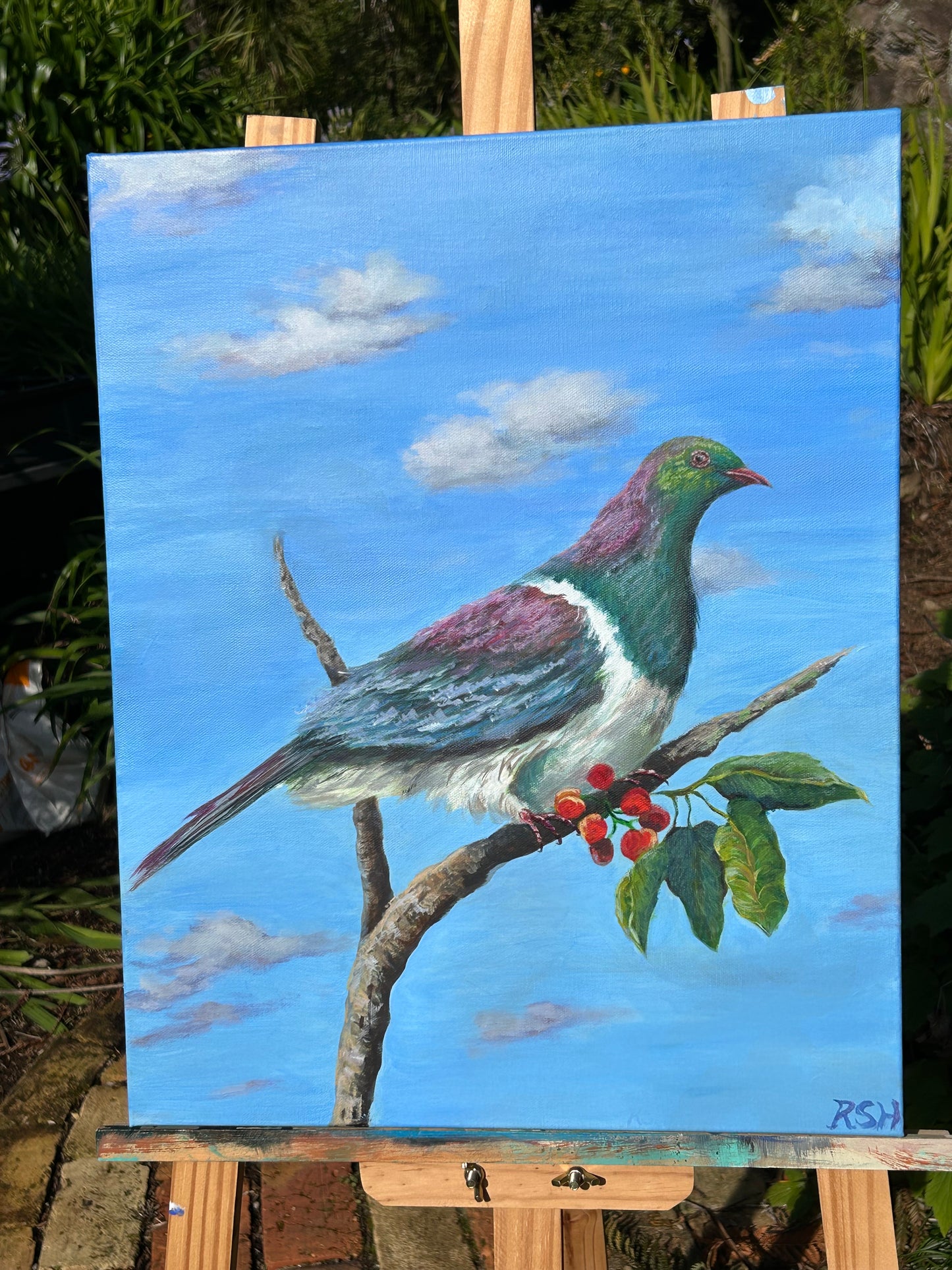 Kereru (Wood pigeon) in the Puriri 16" x 20"