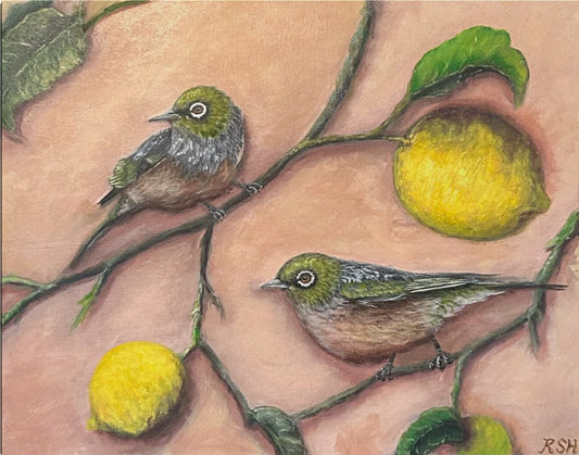 Waxeyes in the Lemon Tree I, 16" x 20"